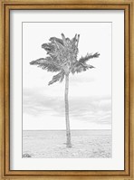 Swaying Palm I Fine Art Print