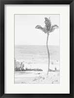 Swaying Palm II Framed Print