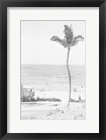 Swaying Palm II Framed Print