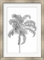 Swaying Palm III Fine Art Print