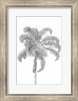 Swaying Palm III Fine Art Print