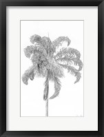 Swaying Palm III Framed Print