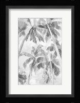 Swaying Palms IV Framed Print