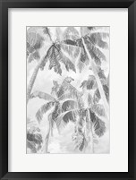 Swaying Palms IV Framed Print