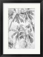 Swaying Palms IV Framed Print