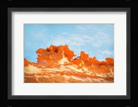 The Fins I Framed Print
