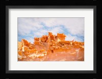 The Fins III Framed Print