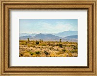 Utah Desert Fine Art Print