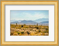 Utah Desert Fine Art Print