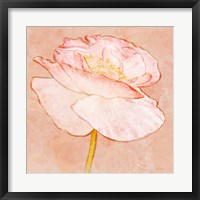 Sweet Peach Poppy I Fine Art Print