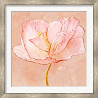 Sweet Peach Poppy III Fine Art Print