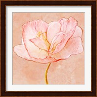 Sweet Peach Poppy III Fine Art Print