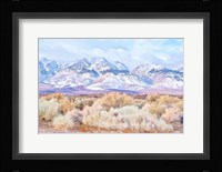 High Desert Vista III Framed Print