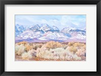 High Desert Vista III Framed Print