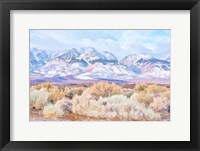 High Desert Vista III Framed Print