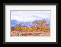 High Desert Vista IV Framed Print