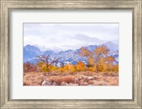 High Desert Vista IV Fine Art Print