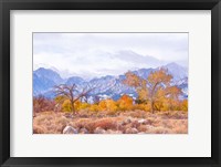 High Desert Vista IV Framed Print
