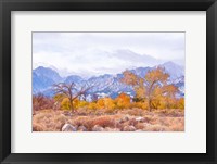 High Desert Vista IV Framed Print