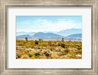 Utah Desert II Fine Art Print