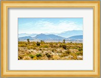 Utah Desert II Fine Art Print
