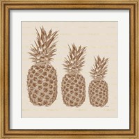 Three Pineapples Fine Art Print