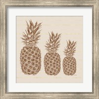 Three Pineapples Fine Art Print