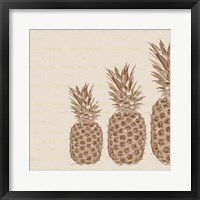 Pineapples - Right Three Fine Art Print