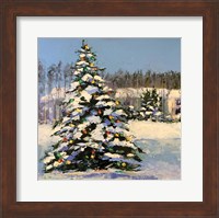 Christmas in the Forest Fine Art Print