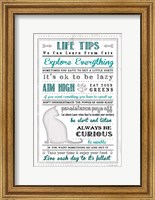 Life Tips - Cats Fine Art Print