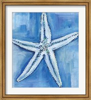 Starfish Blues Fine Art Print