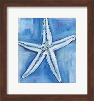 Starfish Blues Fine Art Print