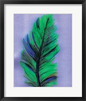 Feather Fine Art Print