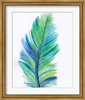 Blue Feather Fine Art Print