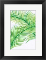 Palm Leaves Fine Art Print