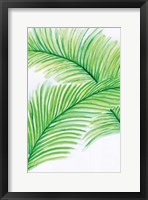 Palm Leaves Fine Art Print