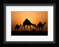 The Desert Ship Fine Art Print