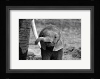 Close Fine Art Print