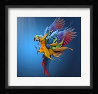 Flying Colours Fine Art Print
