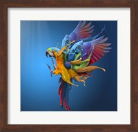 Flying Colours Fine Art Print