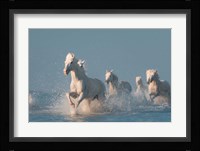 Angels Of Camargue 2 Fine Art Print