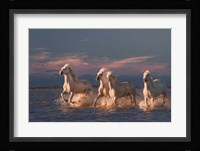 Angels Of Camargue 1 Fine Art Print
