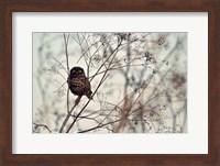 Look At Me! Fine Art Print