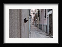 Dantel Street Cat Fine Art Print