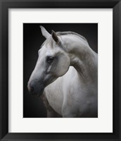 Maggie Fine Art Print