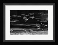 The Boundary Between Reality And Fantasy Fine Art Print