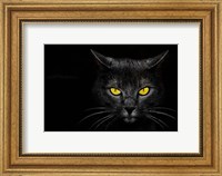 Black Cat Fine Art Print