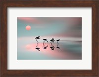 Family Flamingos Fine Art Print