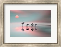 Family Flamingos Fine Art Print
