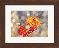 September Moments Fine Art Print